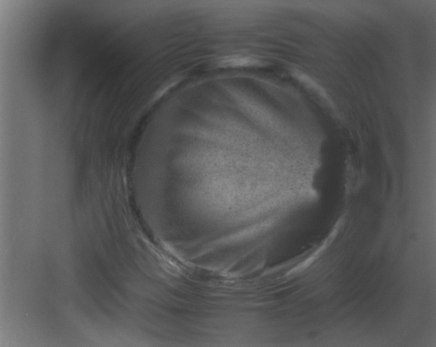 X0000082941305200702081613