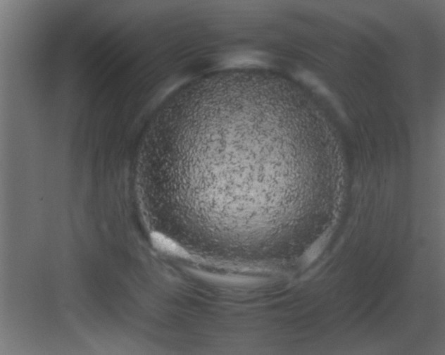 X0000082941313200702081613