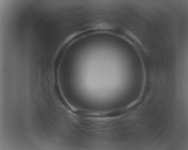 X0000082941315200702081613