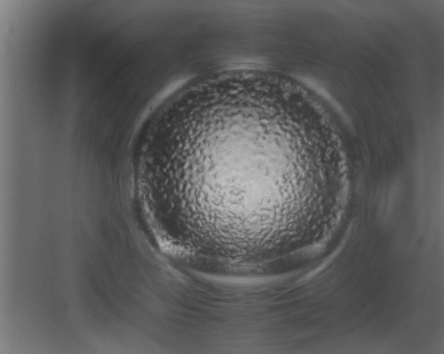 X0000082941317200702081613