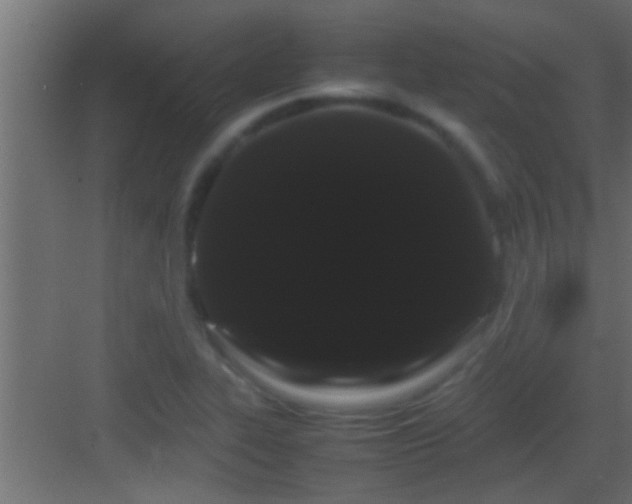 X0000082941319200702081613