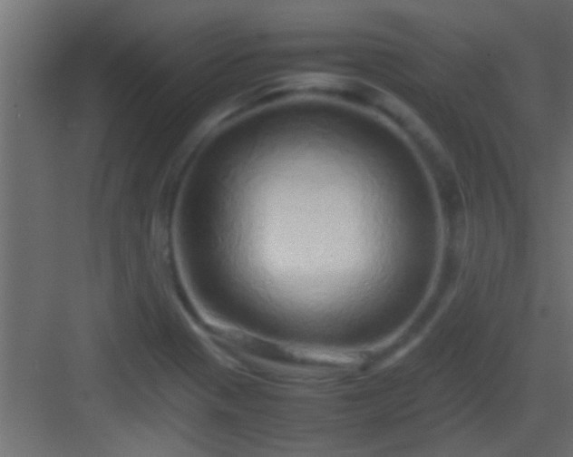 X0000082941321200702081613