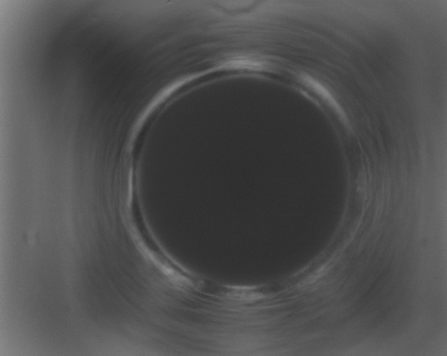 X0000082941323200702081613