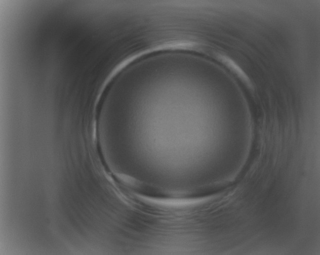 X0000082941324200702081613