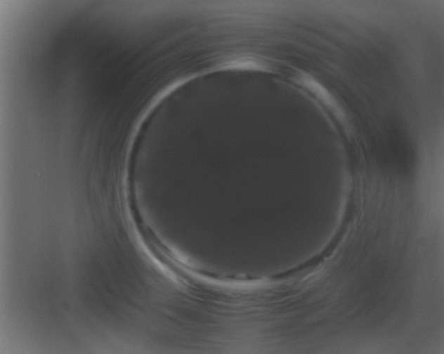 X0000082941331200702081613