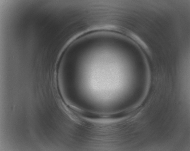 X0000082941332200702081613