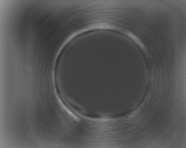 X0000082941334200702081613
