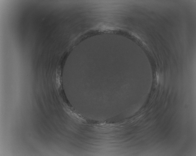 X0000082941348200702081612