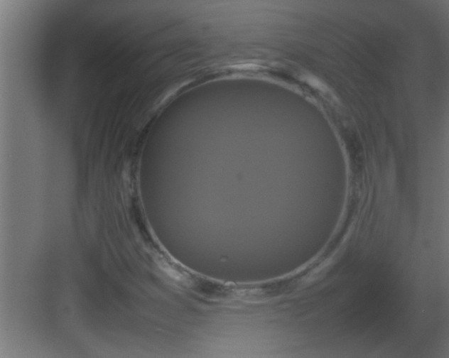 X0000082941353200702081612