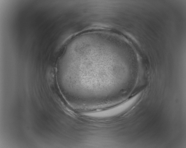 X0000082941355200702081612