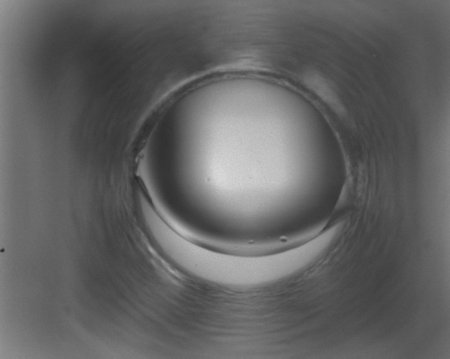 X0000082941356200702081612