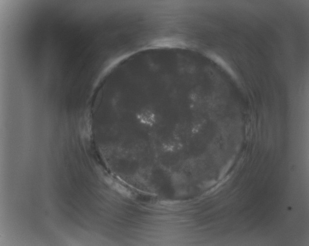 X0000082941358200702081612