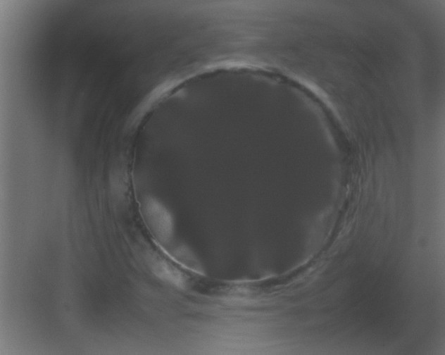 X0000082941359200702081612