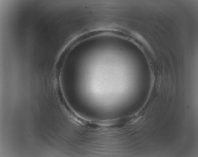 X0000082941360200702081612