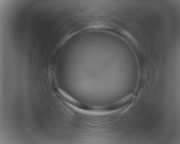 X0000082941361200702081612