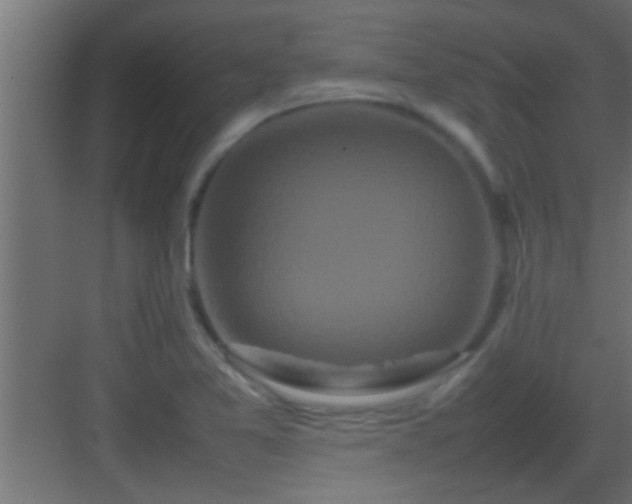 X0000082941365200702081612