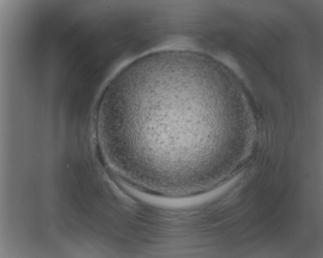 X0000082941366200702081612