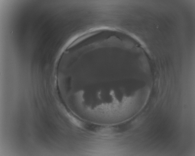 X0000082941367200702081612