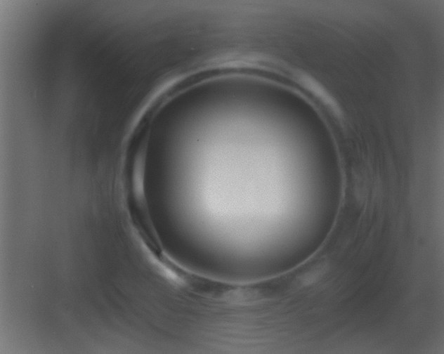 X0000082941368200702081612
