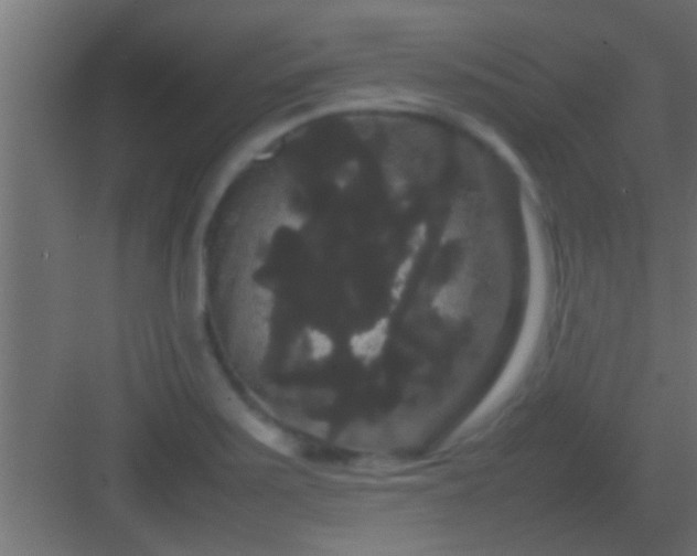 X0000082941371200702081612