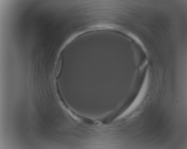 X0000082941373200702081612