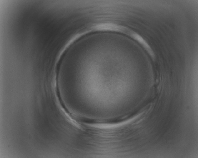 X0000082941376200702081612