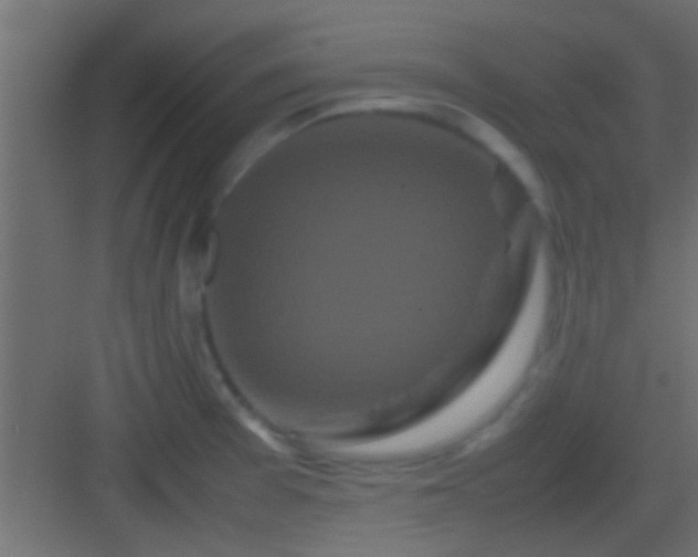 X0000082941377200702081612