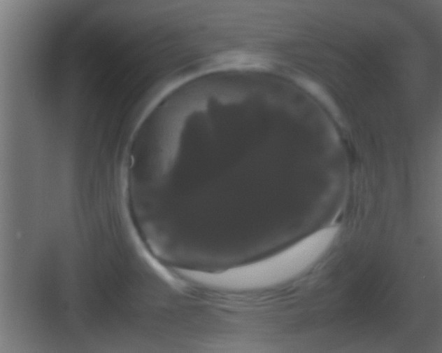 X0000082941383200702081612