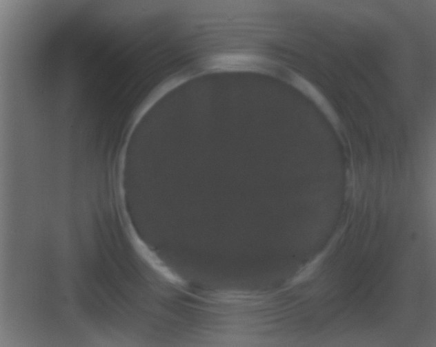 X0000082941386200702081612