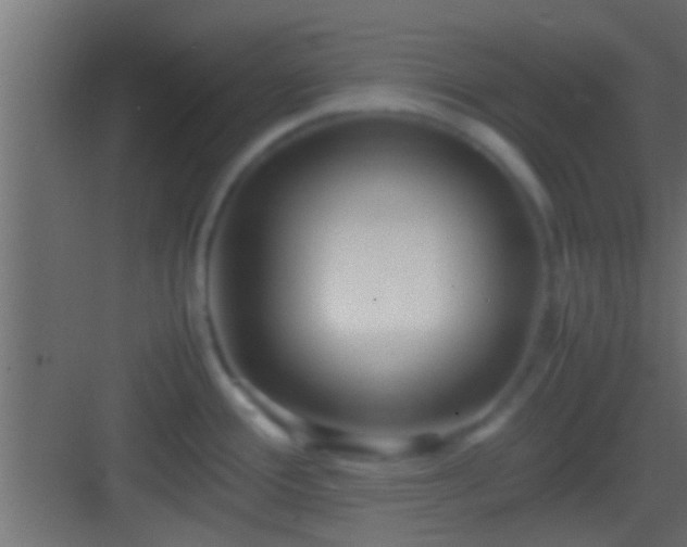 X0000082941388200702081612