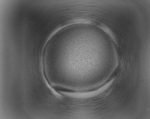 X0000082941391200702081612