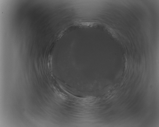 X0000082941394200702081611