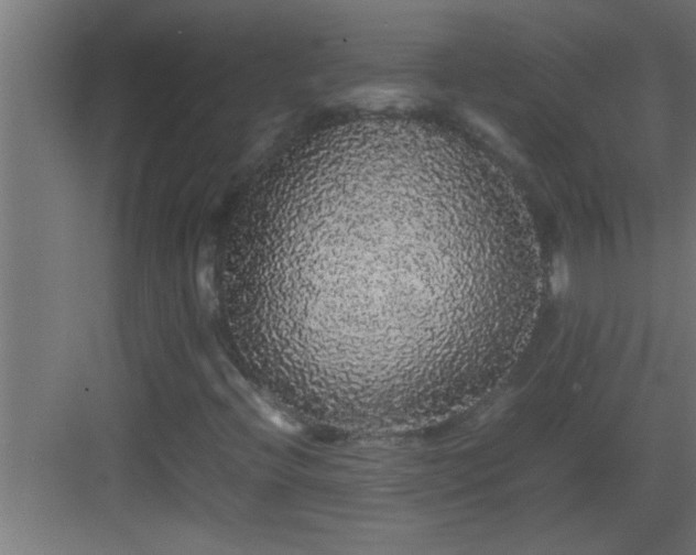 X0000082941396200702081611