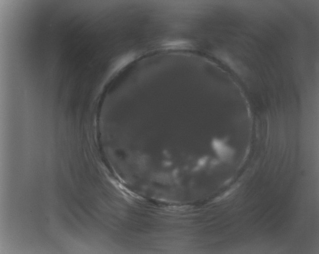 X0000082941405200702081611