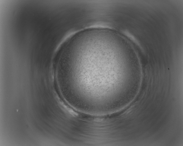 X0000082941408200702081611