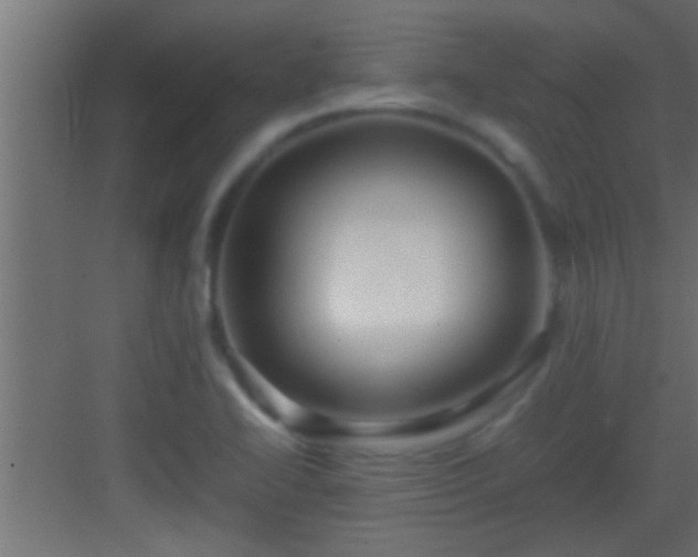 X0000082941414200702081611
