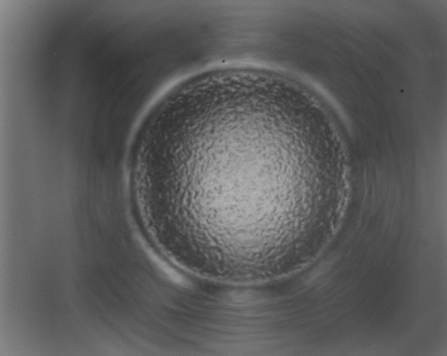 X0000082941416200702081611