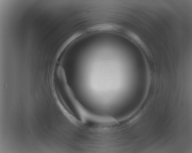 X0000082941426200702081611