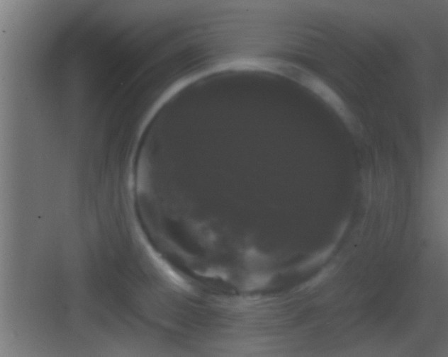 X0000082941428200702081611