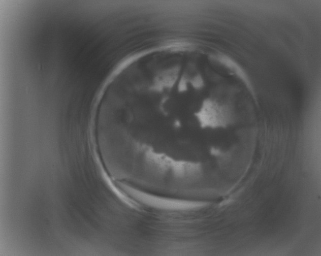 X0000082941429200702081611