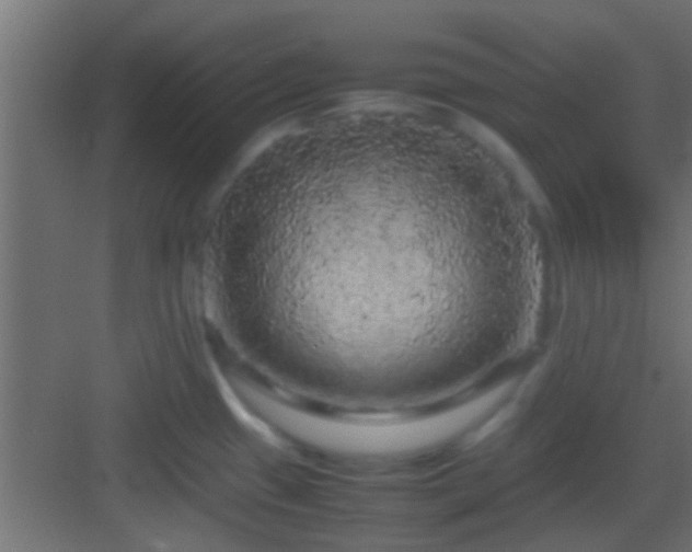 X0000082941433200702081612