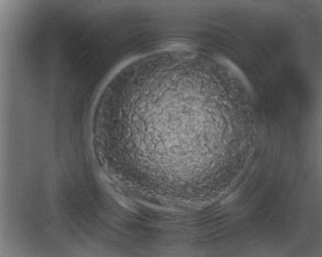 X0000082941435200702081612