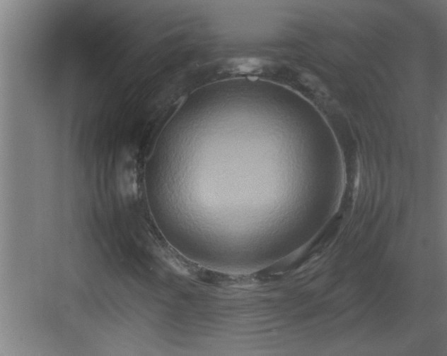 X0000082941442200702081611