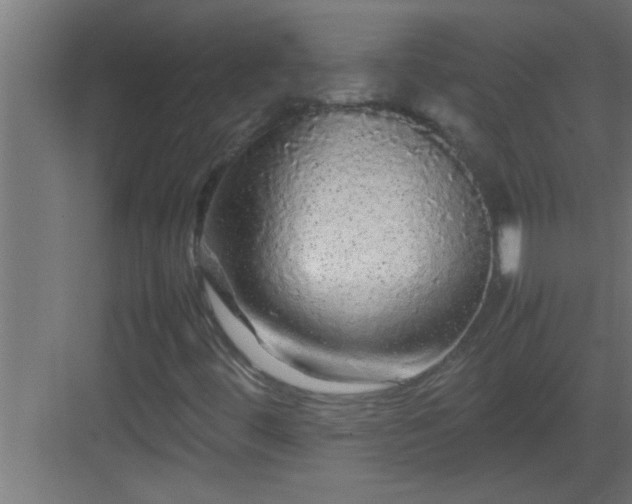 X0000082941444200702081611