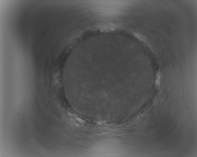 X0000082941445200702081611