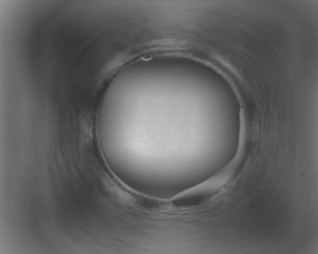 X0000082941451200702081611