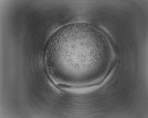 X0000082941452200702081611