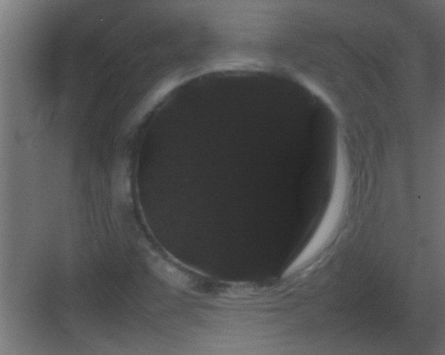 X0000082941455200702081611