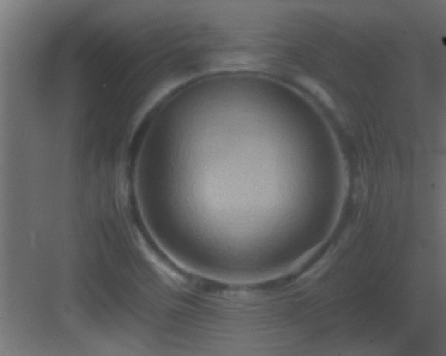 X0000082941458200702081611