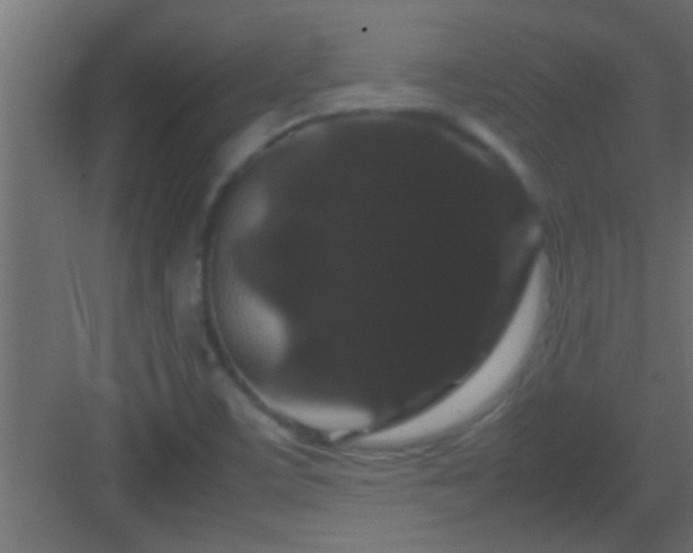 X0000082941459200702081611